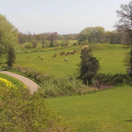 Morning Sun Comfortable Feriehus *